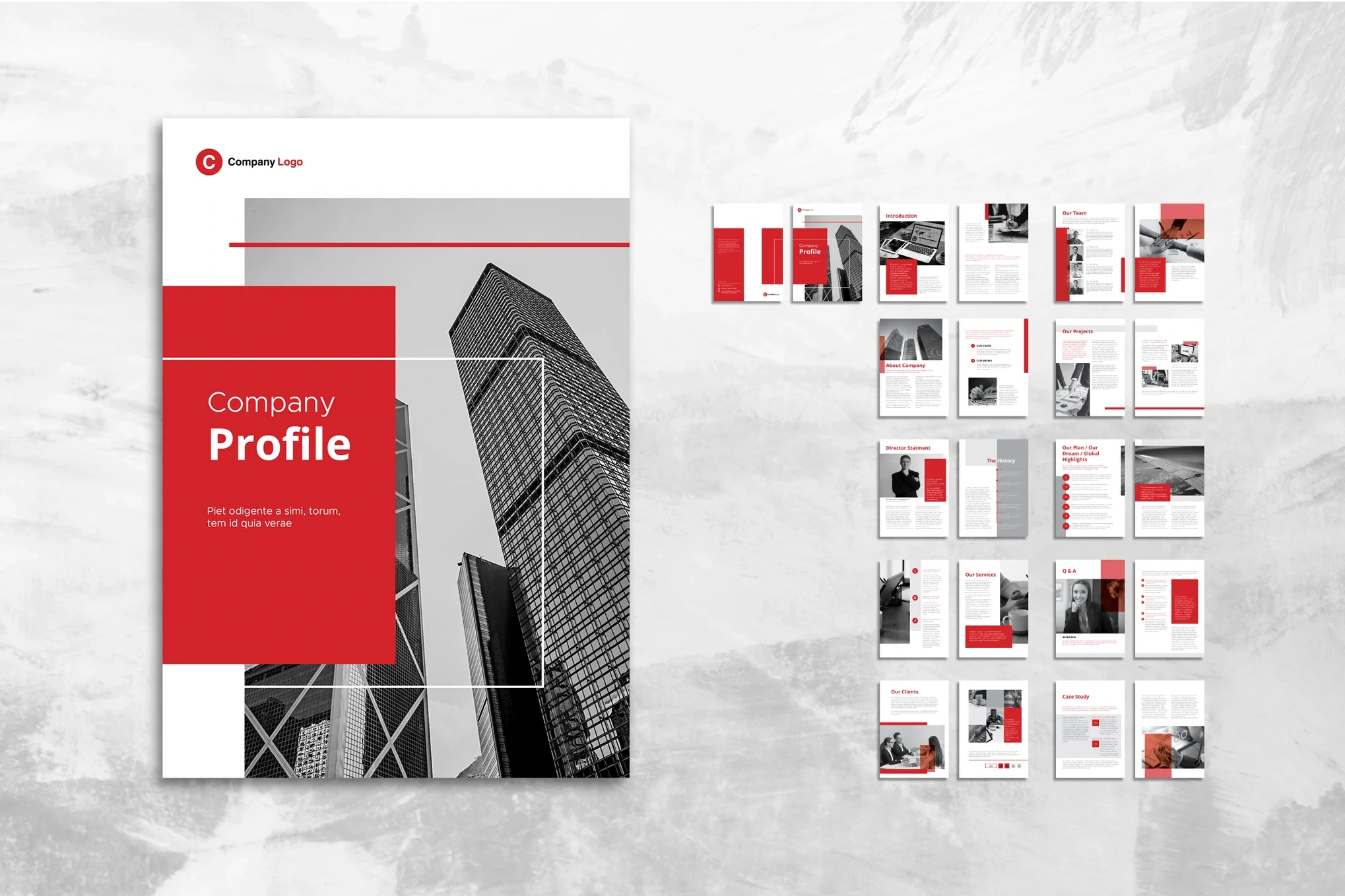 Corporate profile examples