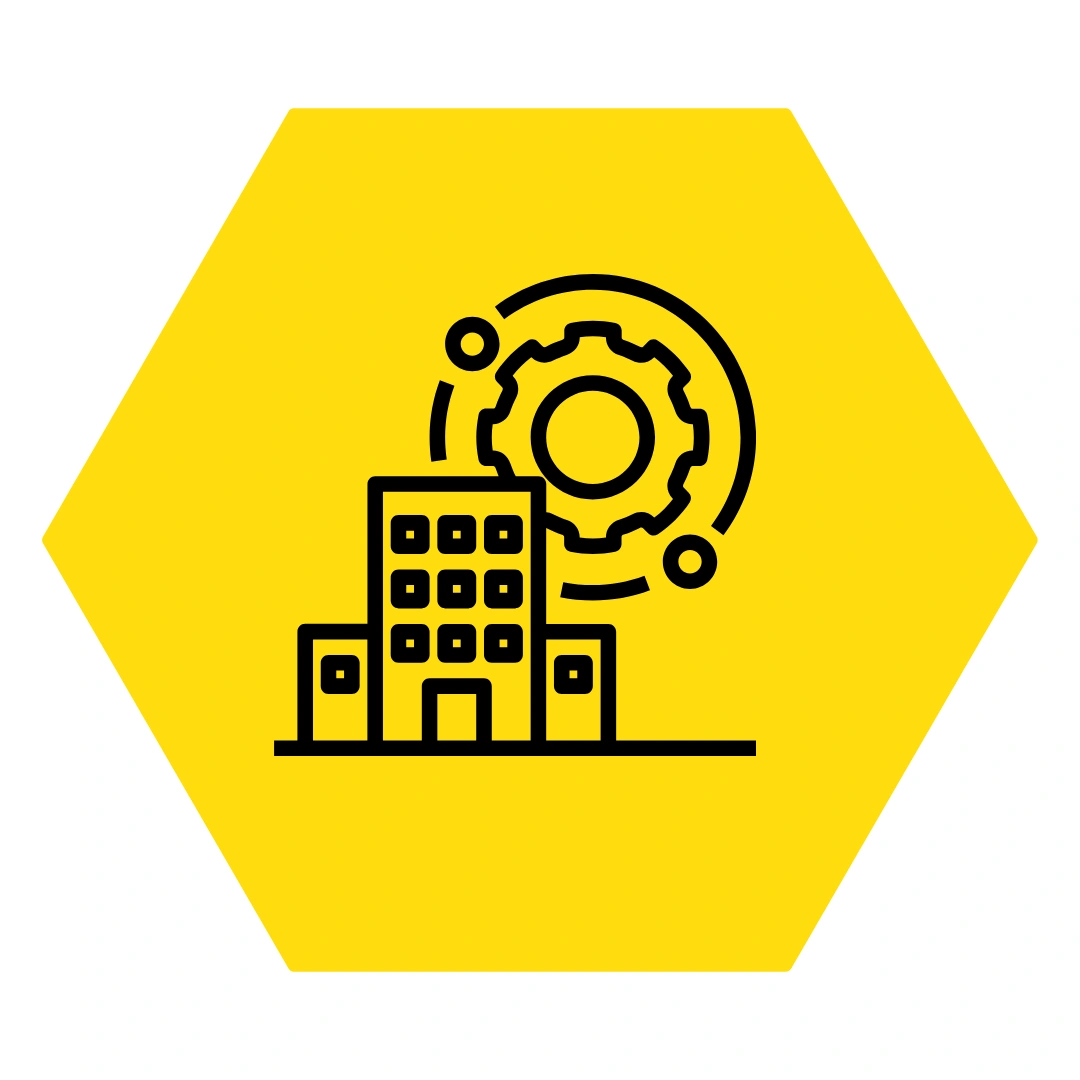 Tailored Visual Identity & Creative Design