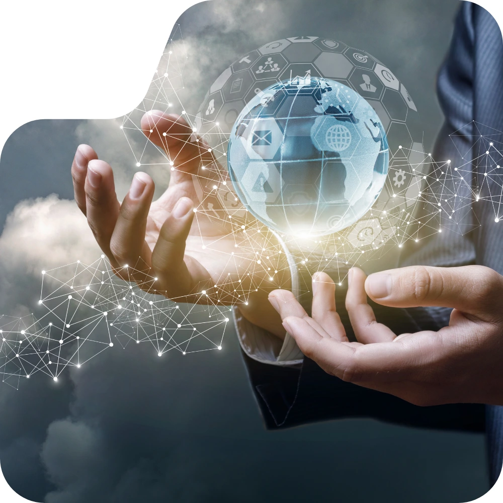 company profile of import export firm