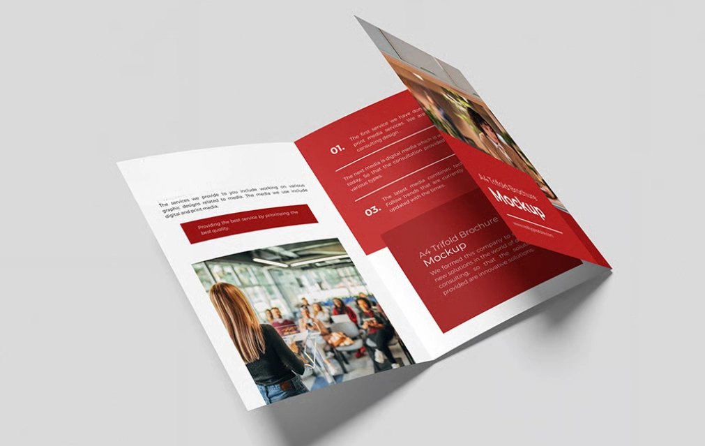 export import company profile sample