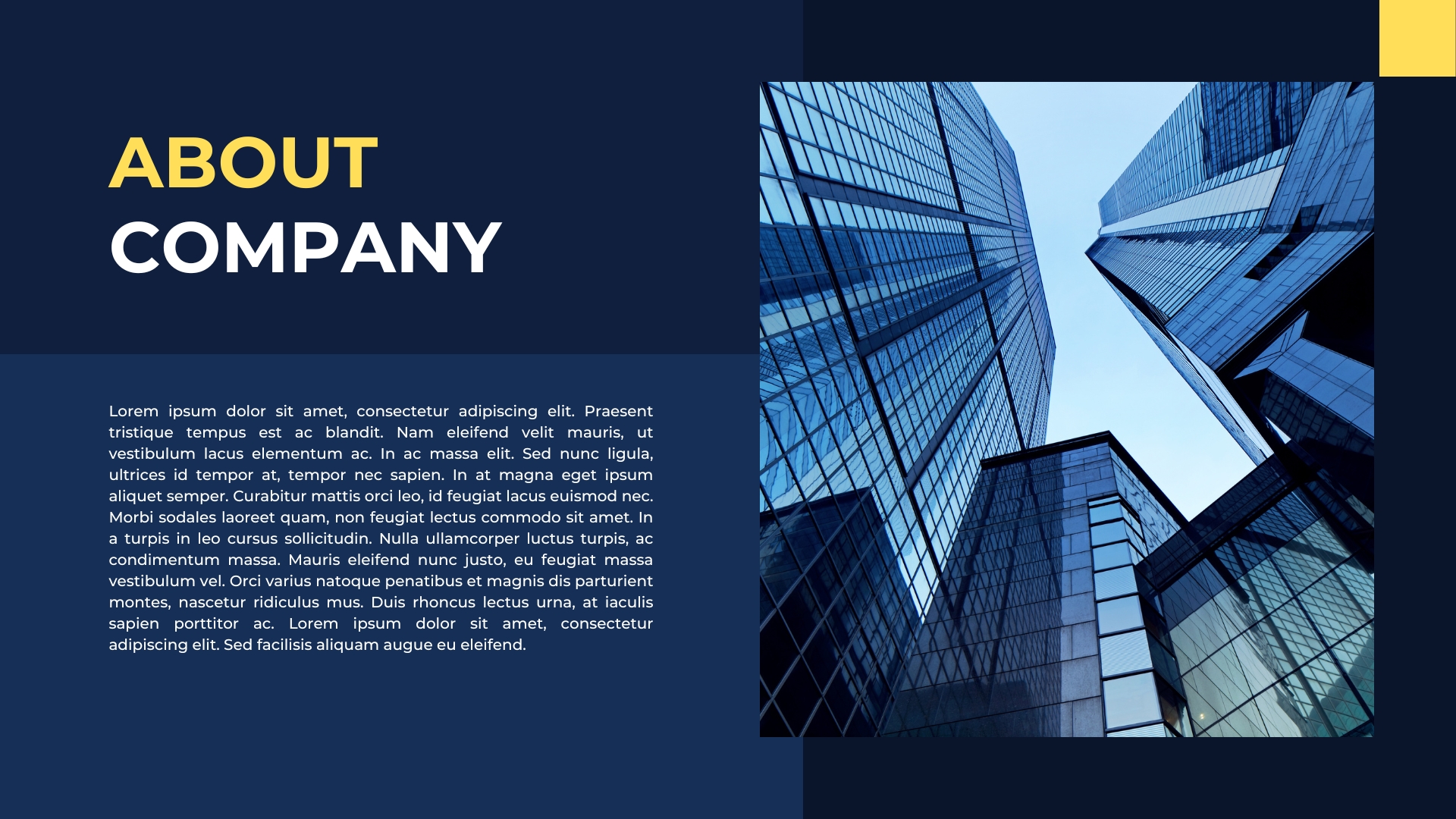 company about in company profile