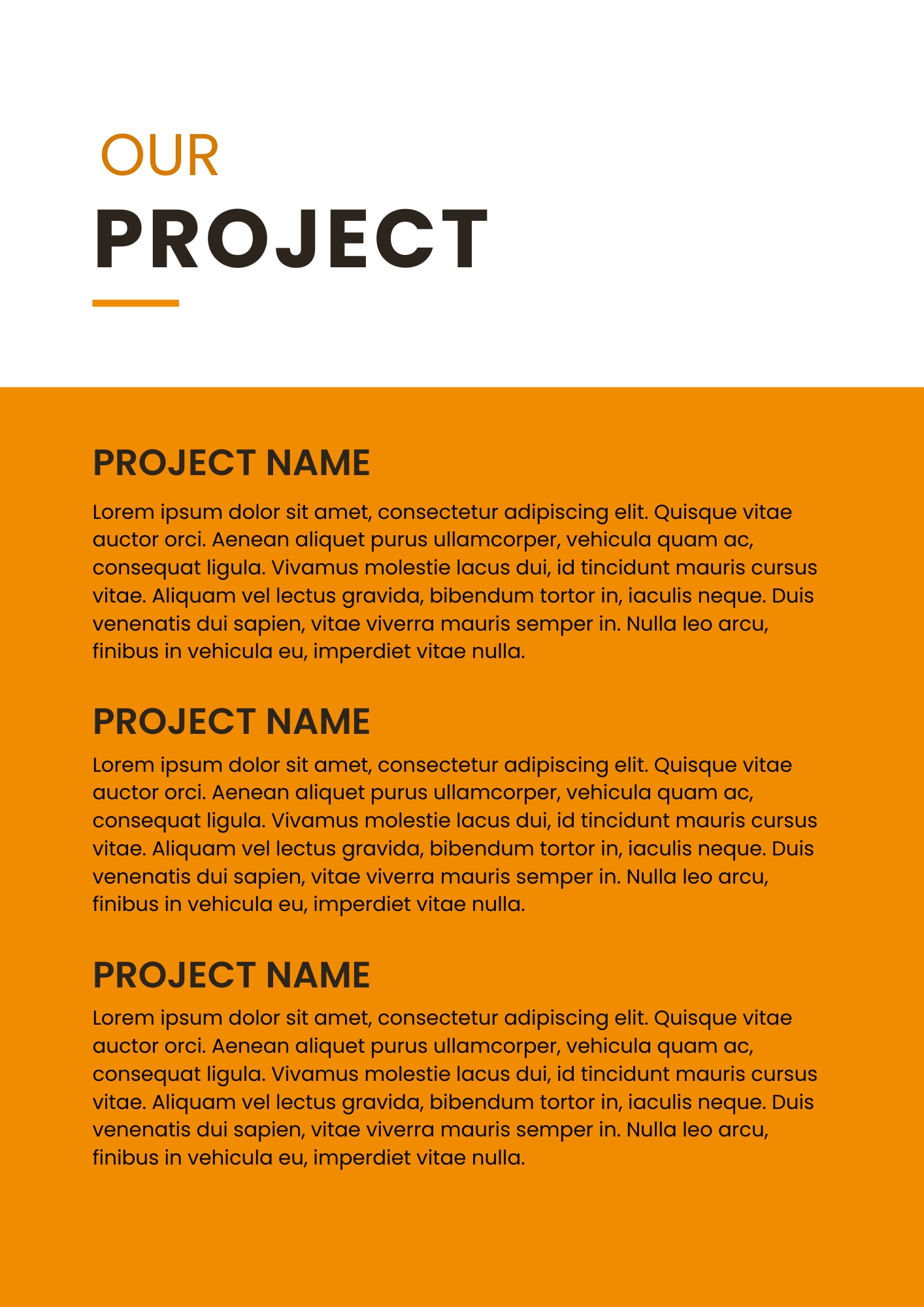 project details in a company profile